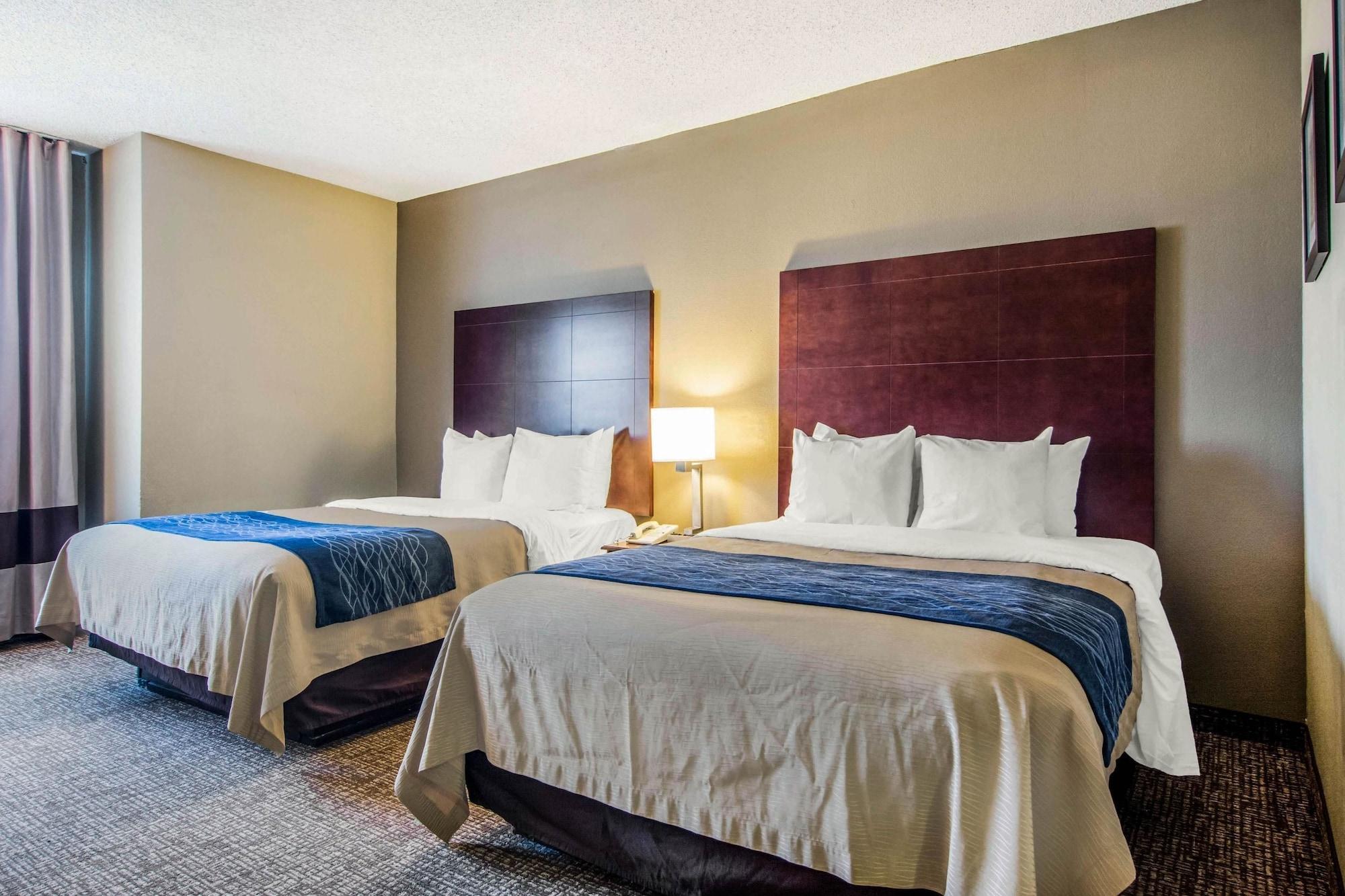 Inn Comfort Downtown South