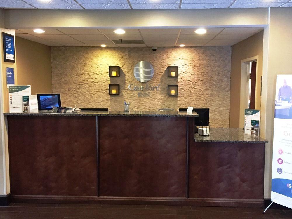 Comfort Downtown South Inn
