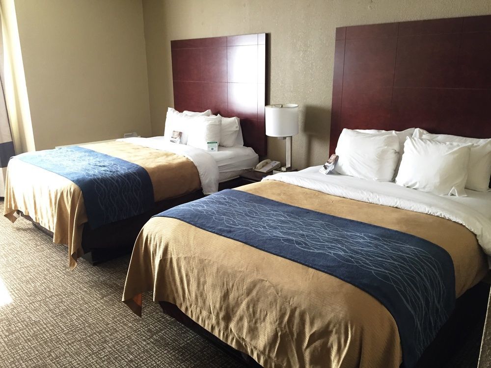 Inn Comfort Downtown South