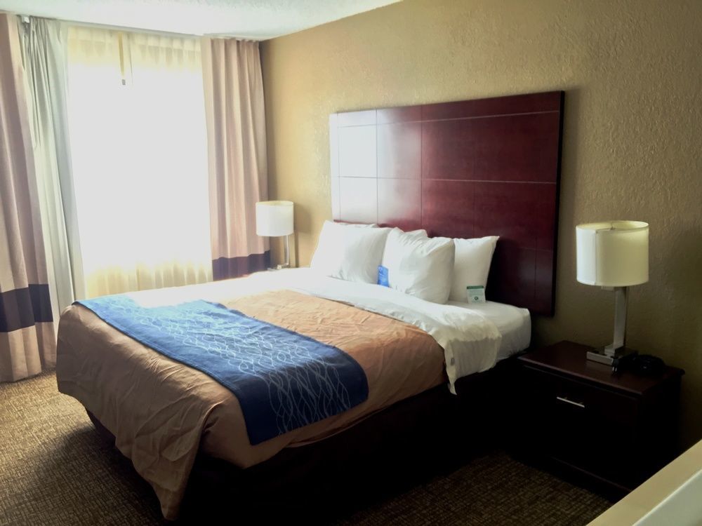 Comfort Downtown South
