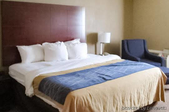 Comfort Downtown South