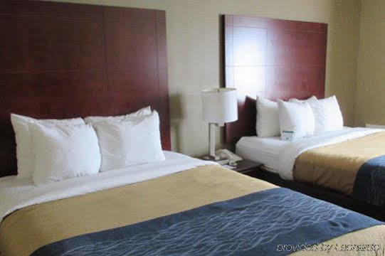 Comfort Downtown South