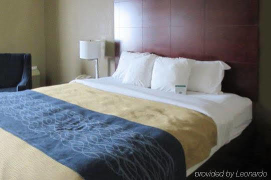 Inn Comfort Downtown South